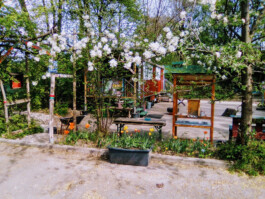 Waldkindergarten Kallamatsch