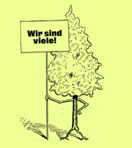 Waldkindergarten Kallamatsch